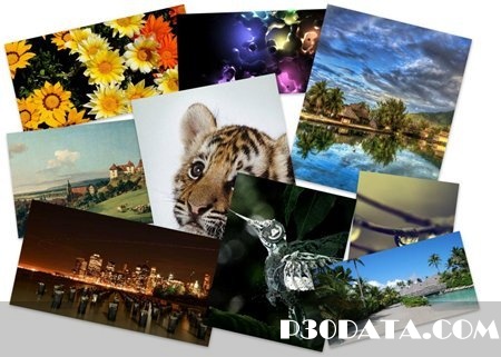 Incredible Mixed Wallpapers
