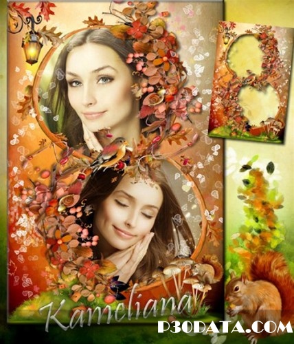 Beautiful Autumn