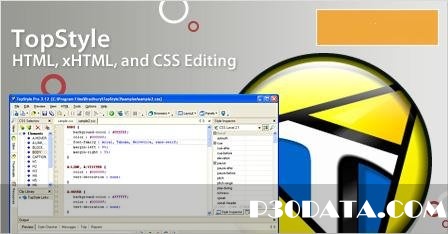ویرایش حرفه ای CSS با TopStyle 5.0.0.83  همراه با نرم افزار قابل حمل