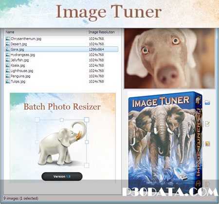 تغییر اندازه و فرمت دسته جمعی تصاویر با Image Tuner 3.1