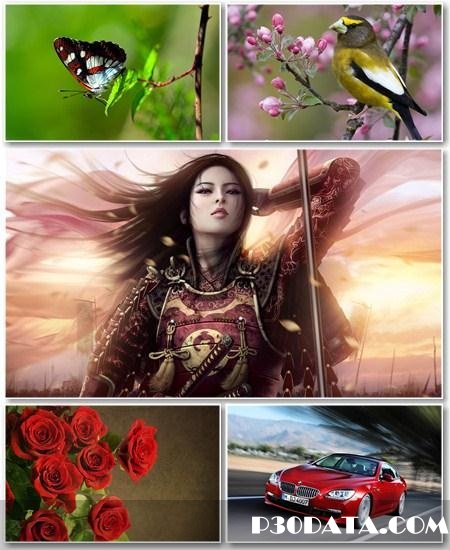 Must Have Best HD Wallpapers