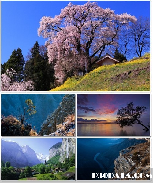  Beautiful Nature HD Wallpapers 