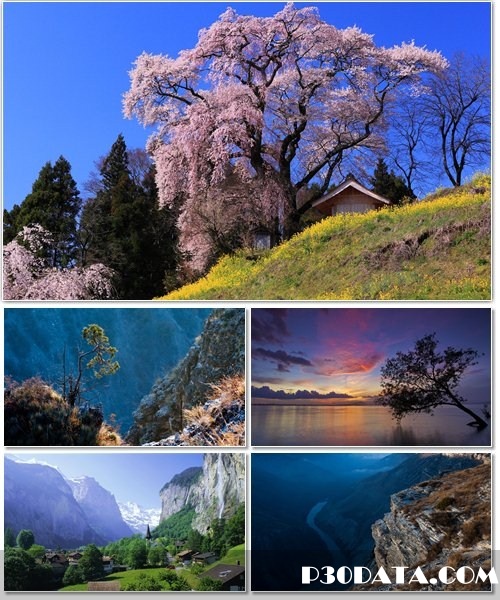 Beautiful Nature HD Wallpapers