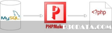 ایجاد حرفه ای صفحات پی اچ پی توسط PHPMaker 9.0.4