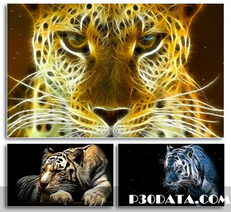 Wild Felines Screensaver - Animated Wallpaper