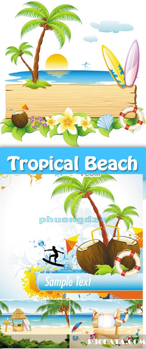 Tropical Beach Backgrounds & Banners Vector