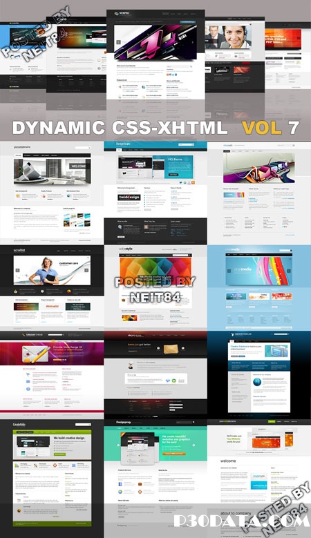 Dynamic CSS XHTML Templates Website Vol7