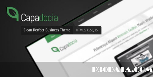 Themeforest - Capadocia - Perfect Clean Business Corporate Theme - RIP